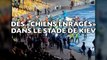 Guingamp: Un «stade en guerre» et des «chiens enragés» à Kiev