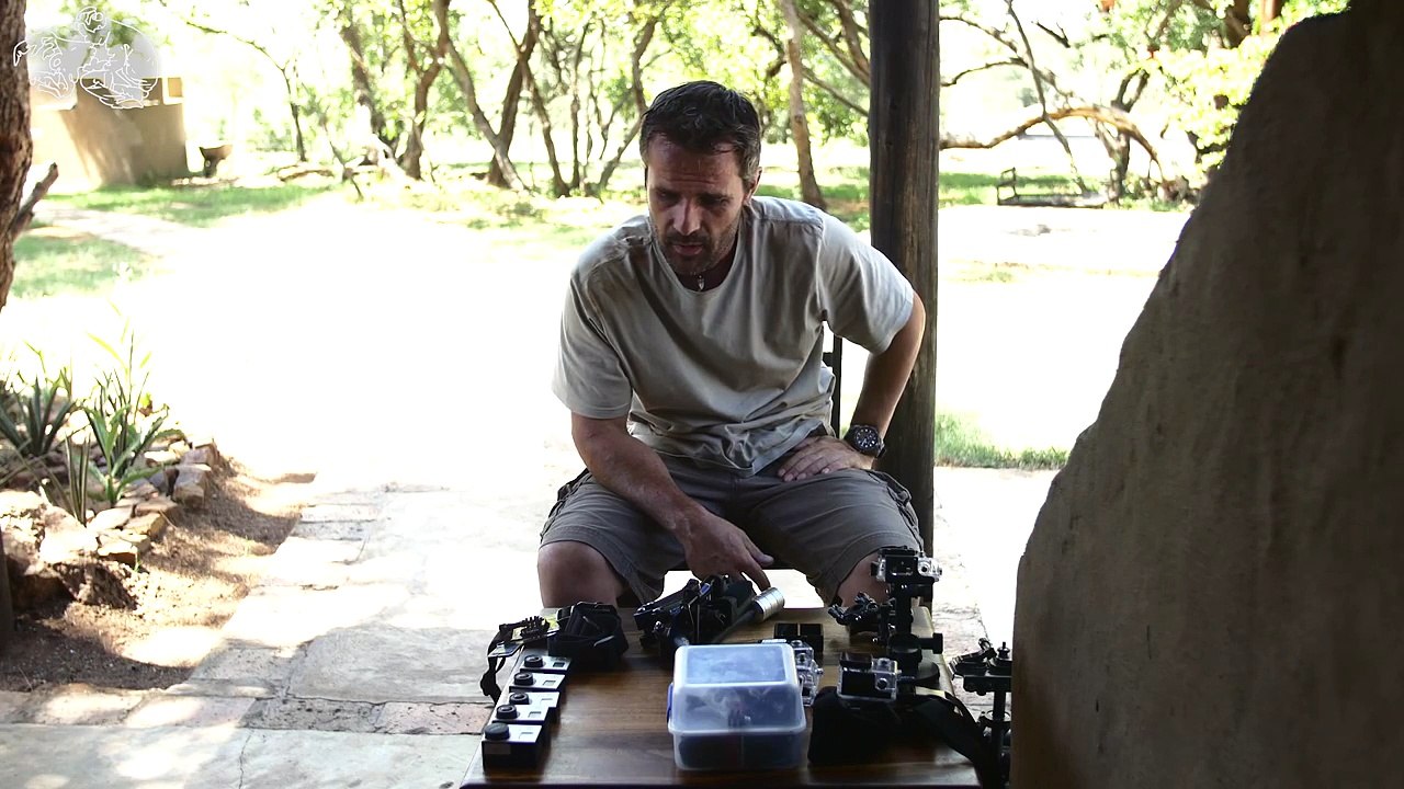 GoPros : How Kevin Richardson films lions with GoPros