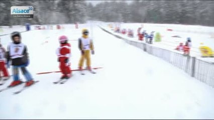 Hebdo DD : Le développement durable en Alsace (25/02/15)