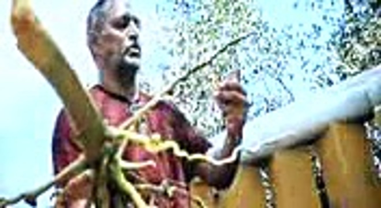 Ab Tak Chhappan Full Movie Part 1