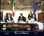 Roma - Audizione Capo Direzione Debito pubblico Ministero Economia, Cannata (26.02.15)