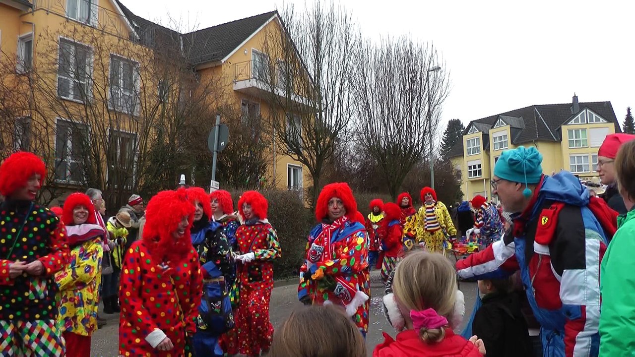 Rosenmontagszug Kiedrich 2015  2/3