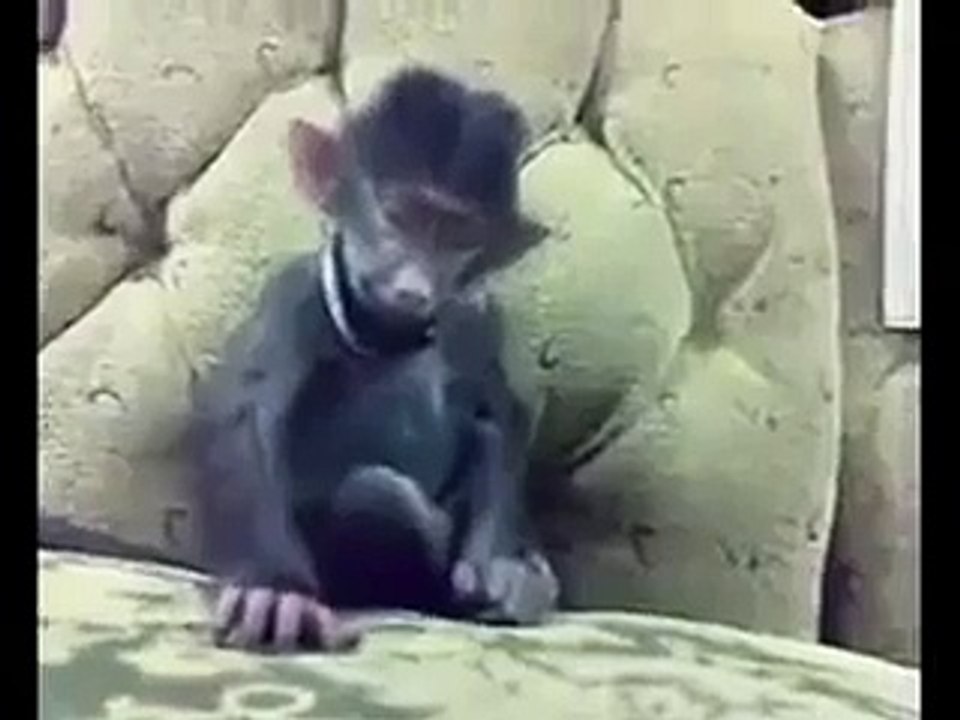 funny news