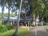 Palm Cove Accommodation - Melaleucas crazy smells this time of year