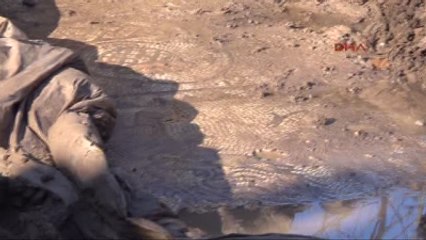 Şanlıurfa - Ağaç Dikilirken Bulunan Mozaik Korumaya Alındı