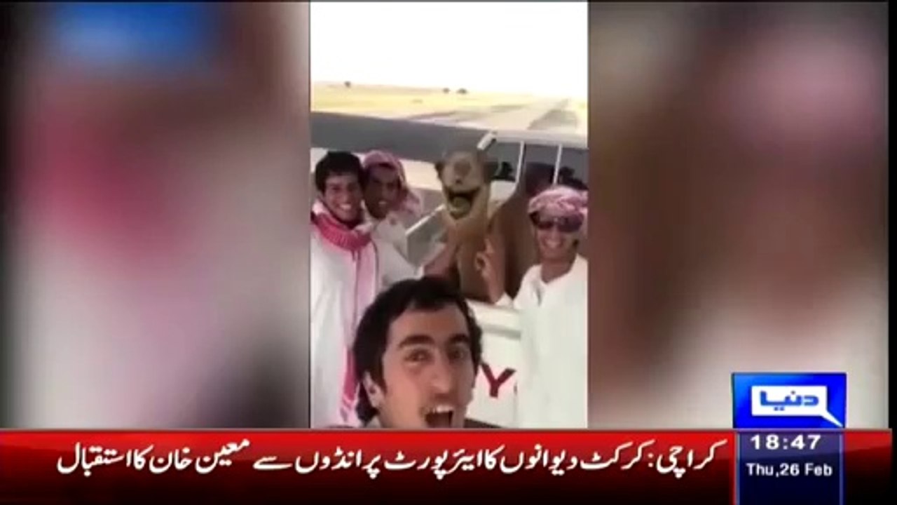 Camel Laughing In Selfie