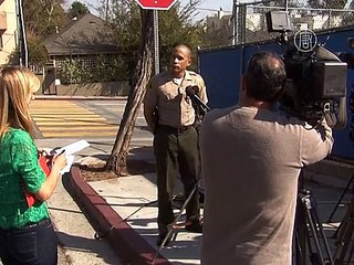 Полиция ищет похитителей «оскаровского» платья Люпиты Нионго