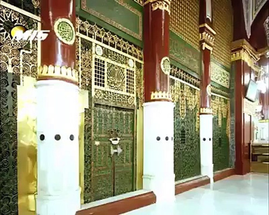 7 SATOON