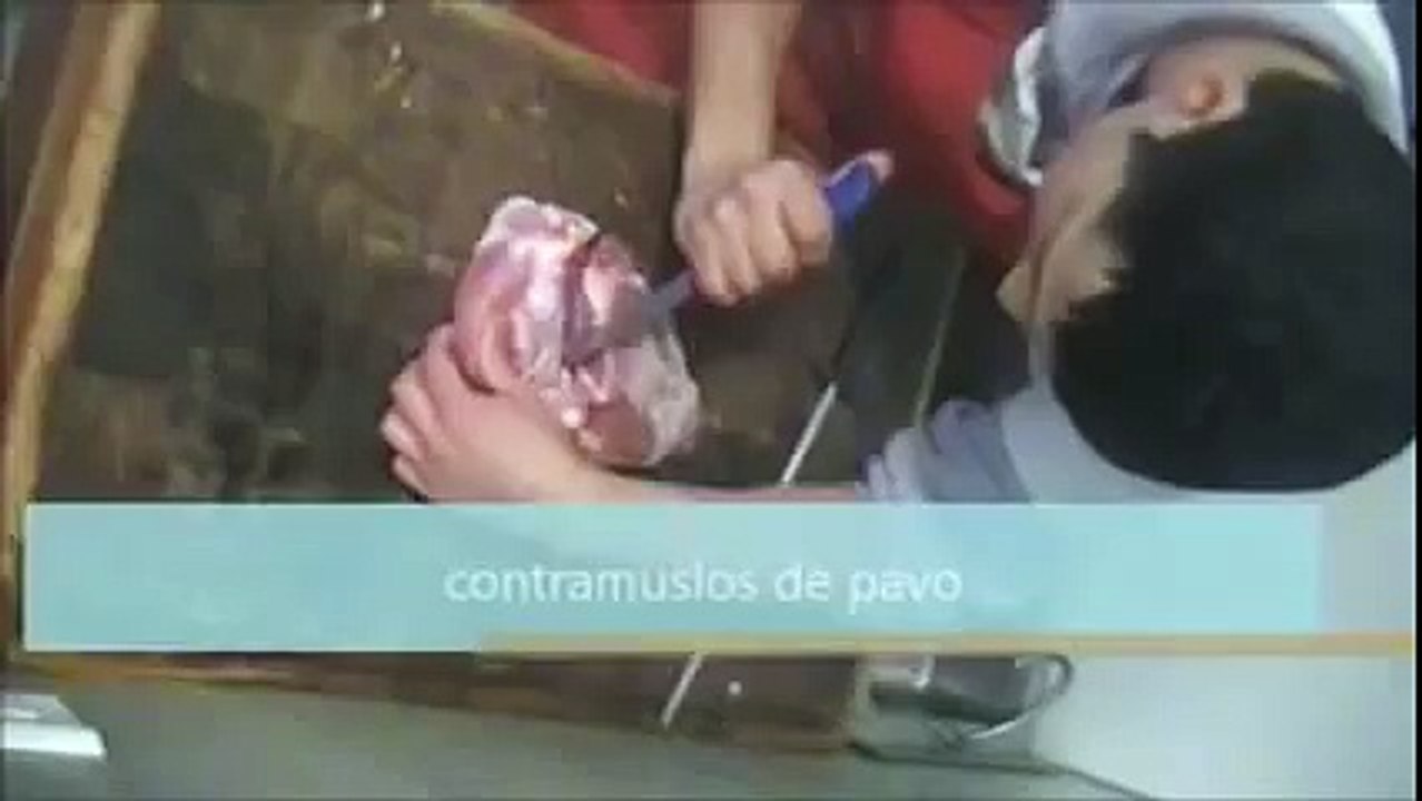 ETC... HAMBURGUESAS DE PAVO CON MANZANA.mp4