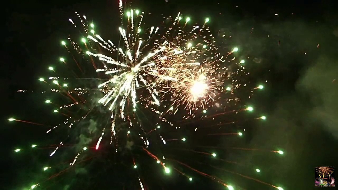 Haine Saint-Pierre (BE) Carnaval 2015 Feu des Dames des Récalcitrants Photo SLY CE Prestation Party-Fices