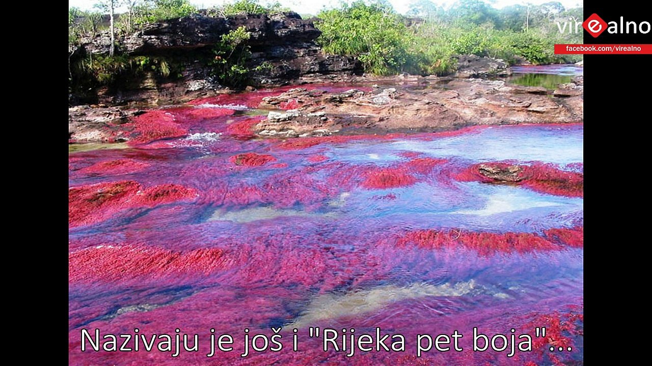 World's Most Amazing River