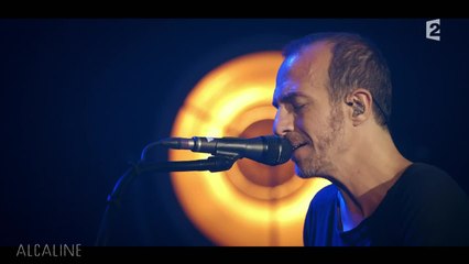 Alcaline, le Concert : Calogero - Le Portrait en live