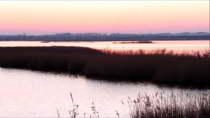 Les étangs du Bagnas à Marseillan dans l'Hérault