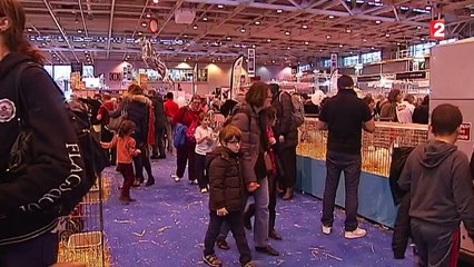 Salon de l'agriculture : les enfants raffolent des "bébés animaux"