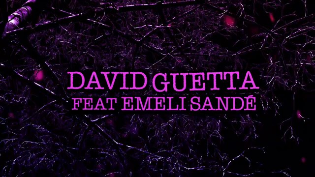 David Guetta - What I Did For Love ft Emeli Sandé