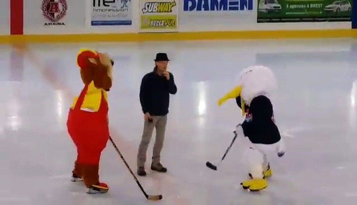 camping du goulet partenaire du hockey les albatros de brest