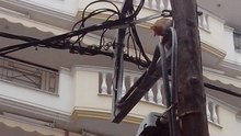 Τι ήθελε η γατούλα ψηλά στο στύλο της ΔΕΗ;