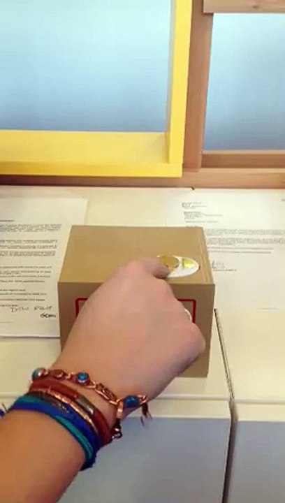 Cat beer box