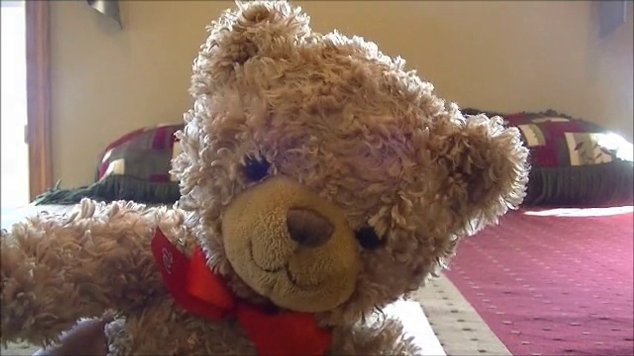 Teddy Bear's Sleepover