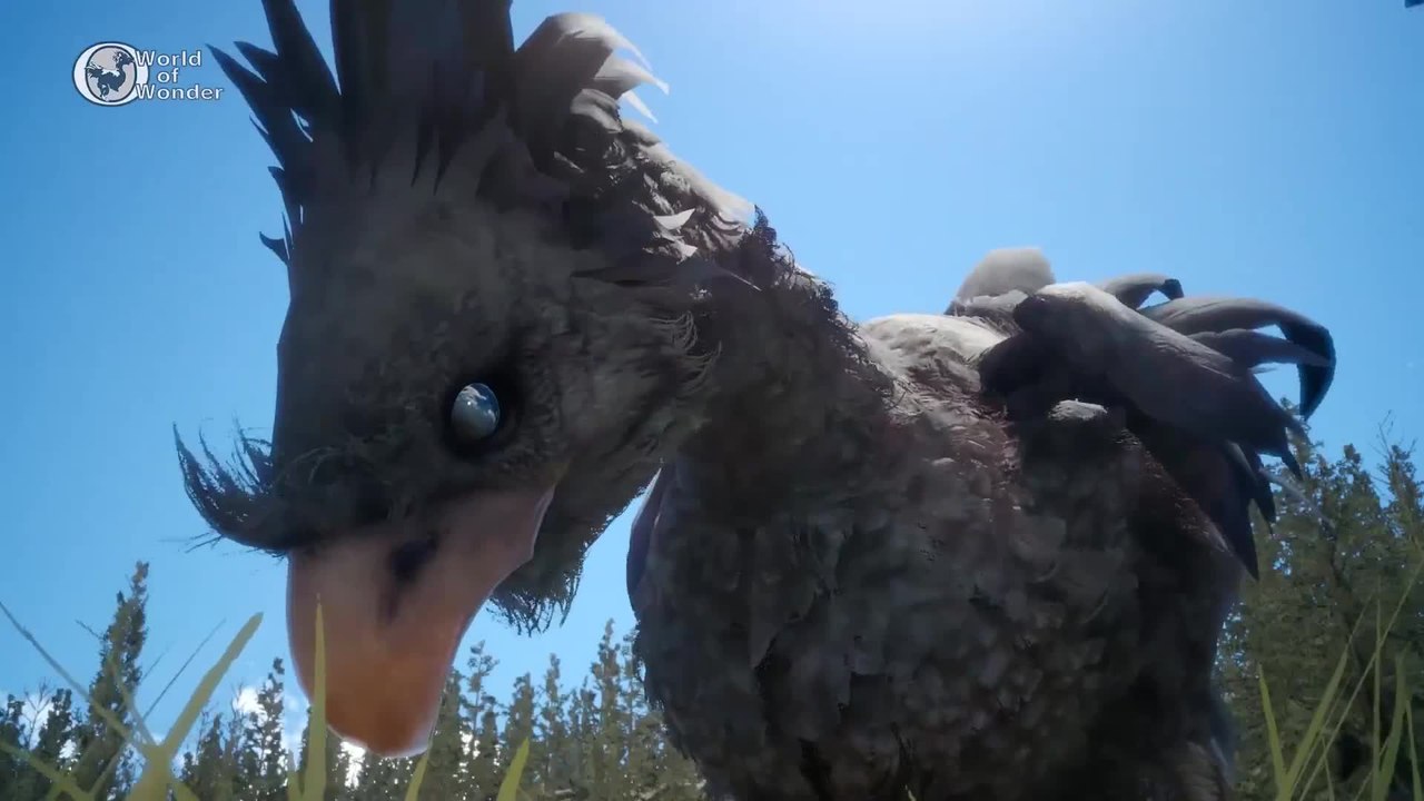FINAL FANTASY XV - Wundervolle Welt Vol.1 Hinterland Trailer | Offizielles Videospiel (2015)