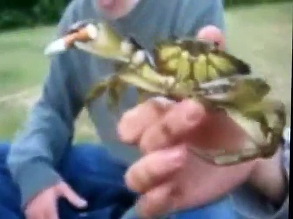Unblievable Crabs Smokes