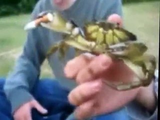 Unblievable Crabs Smokes