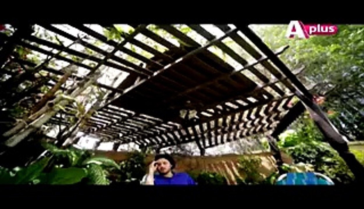 Chupkay Say Bahaar Ajaye Last Episode 20 on Aplus in High Quality 27th February 2015 - www.dramaserialpk.blogspot.com,