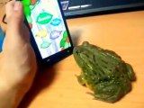 FUNNY Frog Bites Finger and Digital ants on the phone - Лягушка кусает Палец))