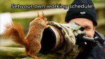 Freelance Photography Jobs Online - Get Paid For Taking Pictures
