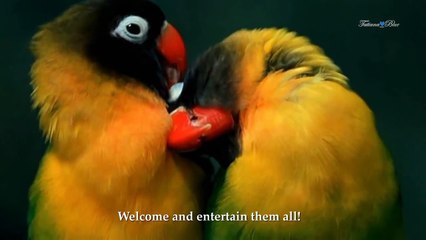 The Guest House (poem by Rumi) - music Frederic Delarue (Inspiration)