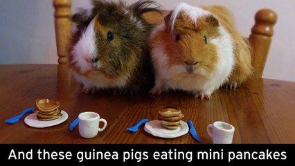 Can You Watch This Without Smiling