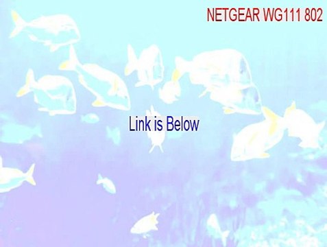 NETGEAR WG111 802.11g Wireless USB2.0 Adapter Download (Download Here 2015)