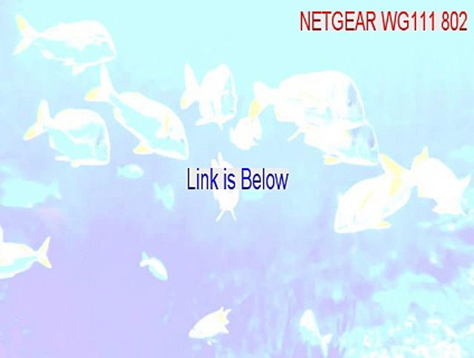 NETGEAR WG111 802.11g Wireless USB2.0 Adapter Download (Download Here 2015)