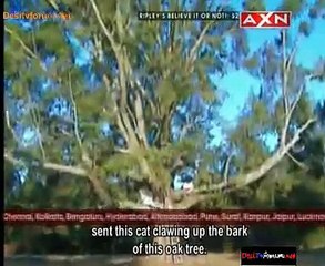 Ripley's Believe It or Not! 27th February 2015 Video Watch Online pt2