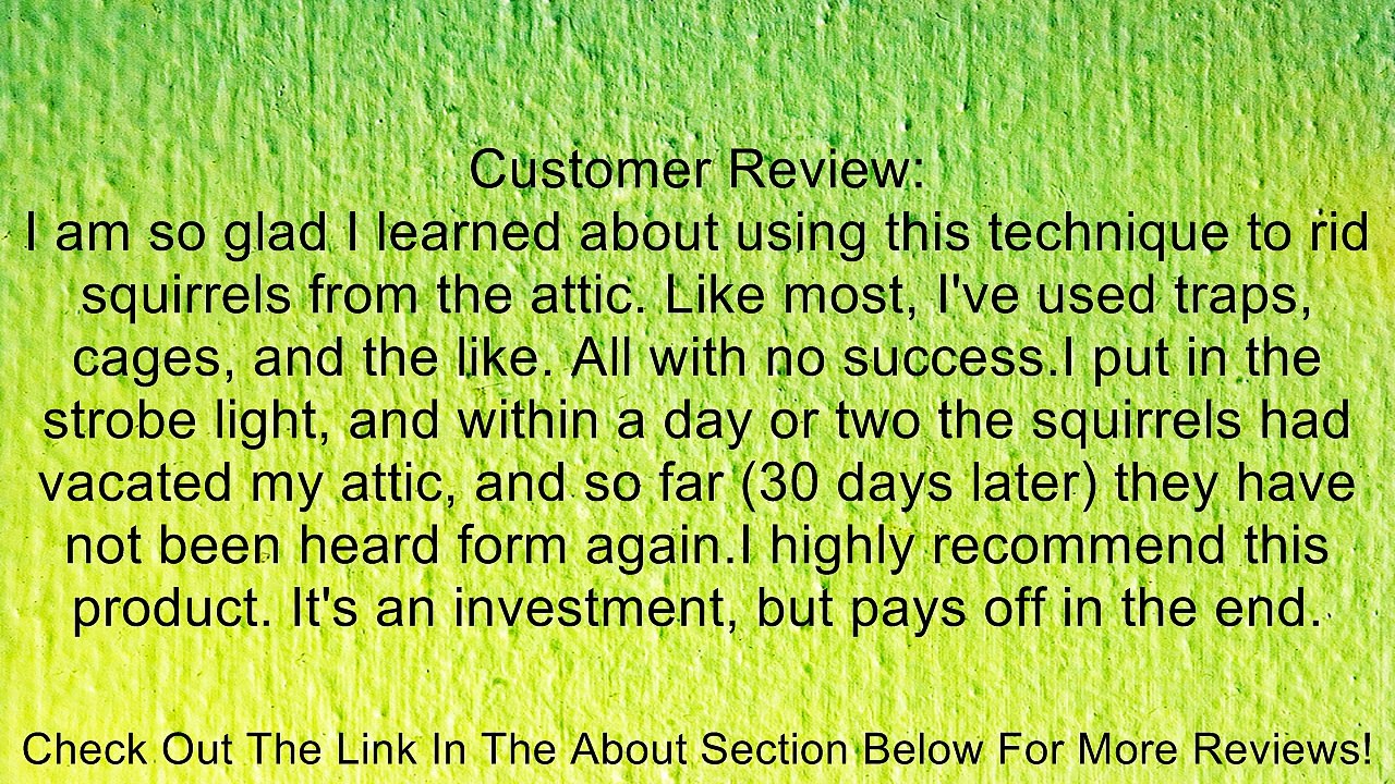 Evictor Strobe Light 100K Review