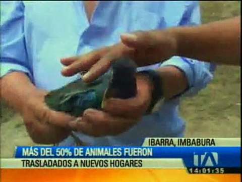 Más del 50% de los animales del zoológico de Guayabillas fueron trasladados a otros lugares
