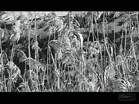 Трубный Зов-Первый снег (видеоклип) (remix)