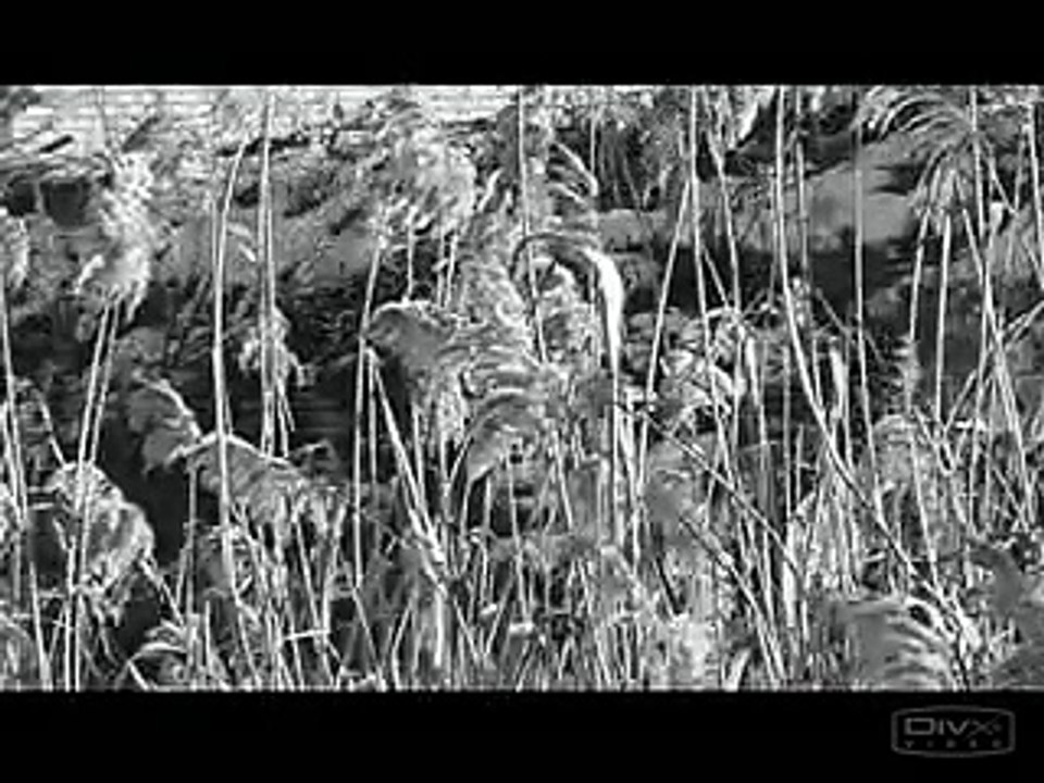 Трубный Зов-Первый снег (видеоклип) (remix)