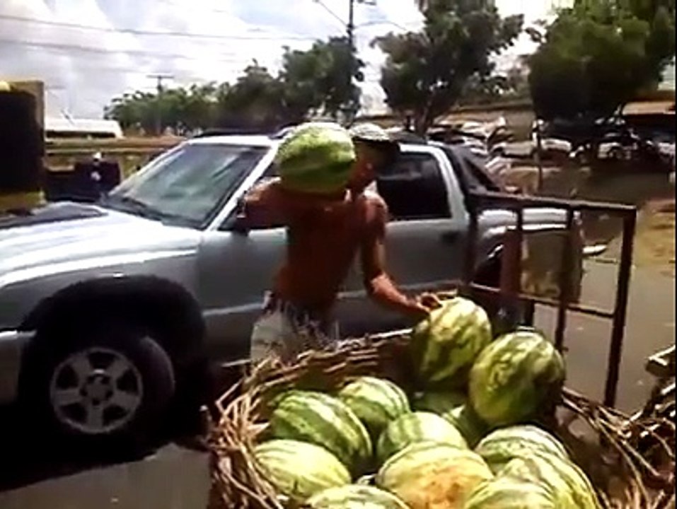 La technique pour attraper des pastèques