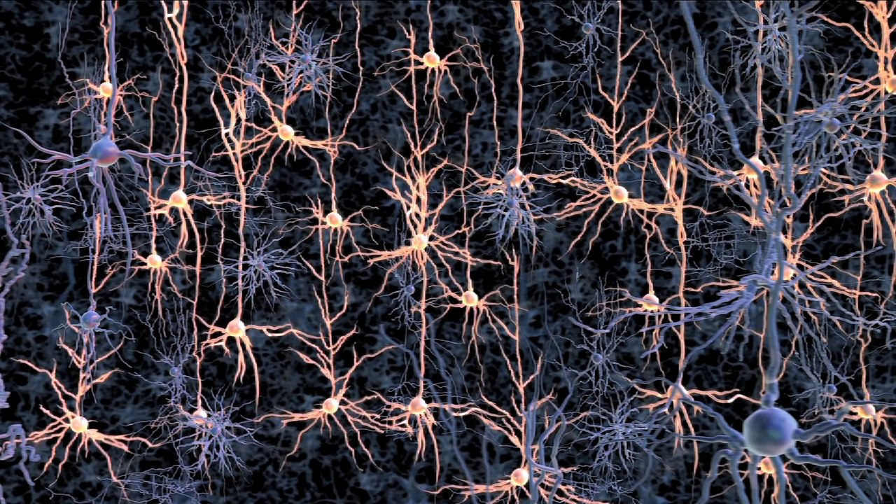 Optogenetics - Controlling the brain with light