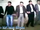 KEDİ HALAYA DALINCA :):)