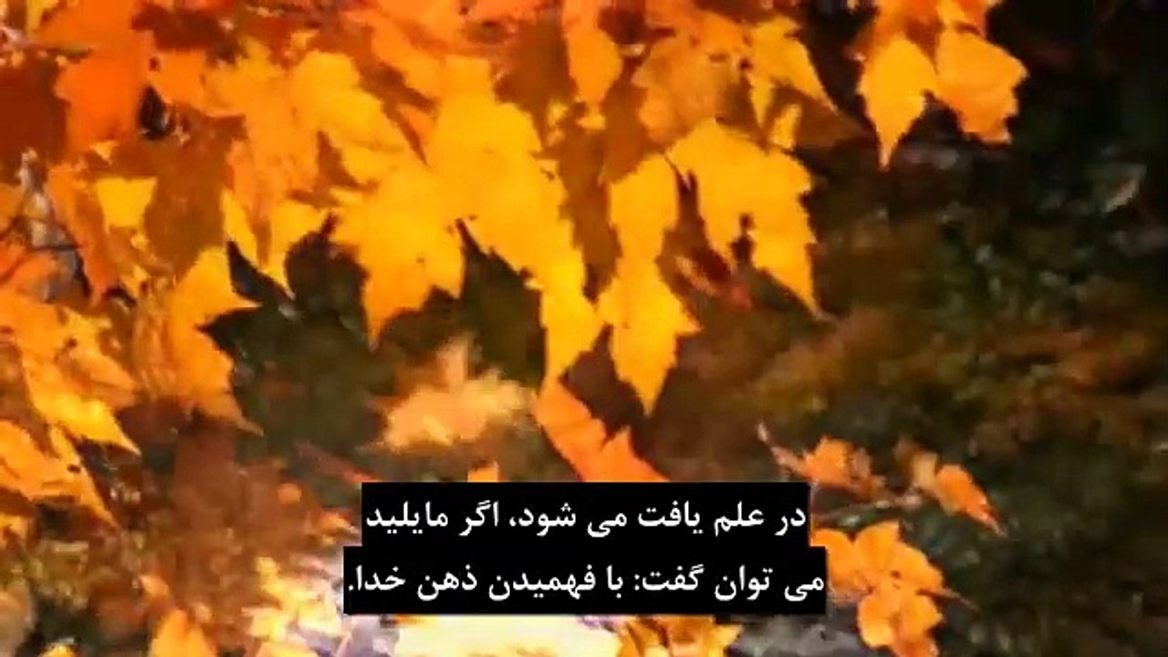 سمفونی دانش ؛ موج خرد