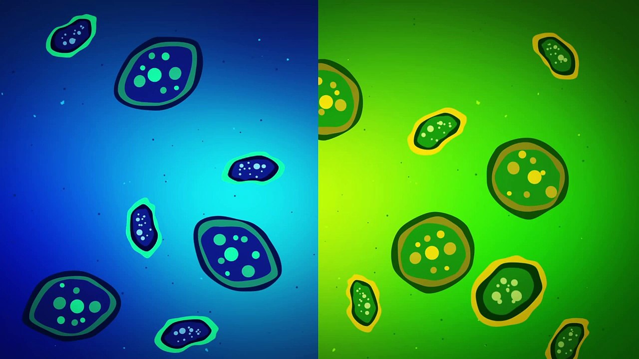 You are your microbes