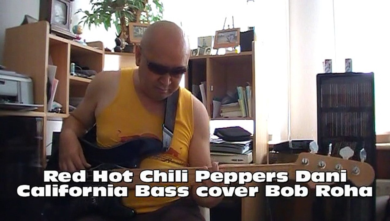 Red Hot Chili Peppers Dani California Bass cover Bob Roha