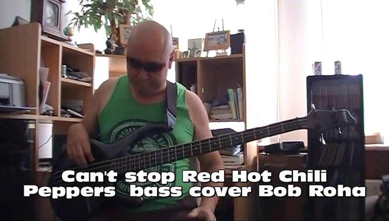 Can't stop Red Hot Chili Peppers  bass cover Bob Roha
