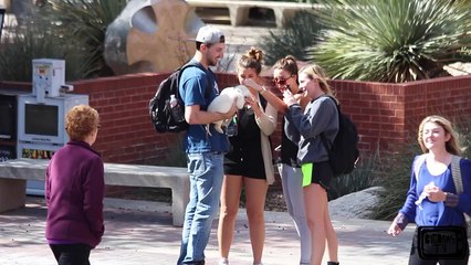 Picking Up Girls With a Puppy