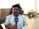 Pakistani Funny Clips 2017 Monkey Fall in Love with Pakistani Reporter funny videos | funny clips | funny video clips | comedy video | free funny videos | prank videos | funny movie clips | fun video |top funny video | funny jokes videos | funny jokes vid