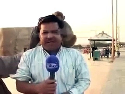 Pakistani Funny Clips 2017 Monkey Fall in Love with Pakistani Reporter funny videos | funny clips | funny video clips | comedy video | free funny videos | prank videos | funny movie clips | fun video |top funny video | funny jokes videos | funny jokes vid