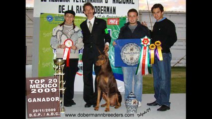 PERROS AL AIRE 21 DE FEBRERO DEL 2015