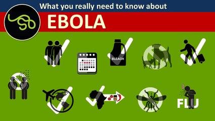What You REALLY Need to Know about Ebola